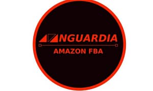 Download corso Avanguardia FBA – Giorgio Tavazza