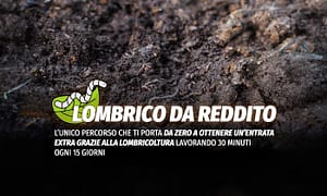 Lombrico da Reddito – Rendita Agricola
