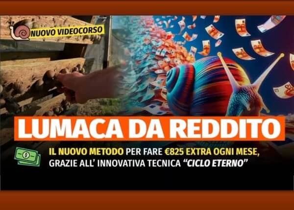 Lumaca da Reddito – Rendita Agricola
